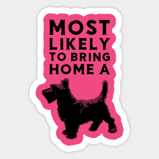 Most likely to bring home a scottish terrier (scotty) Sticker